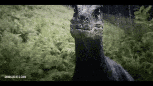 a close up of a dinosaur with slotslights.com written on the bottom right