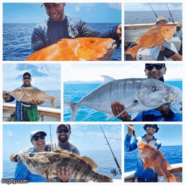 a collage of pictures of people holding fish with the url imgflip.com