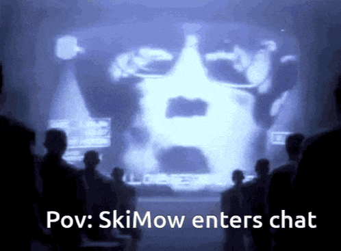 a group of people standing in front of a screen that says " pov : skimow enters chat " on it