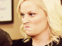 Parks And Rec Leslie Knope GIF