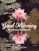 a good morning greeting card with pink flowers in the water