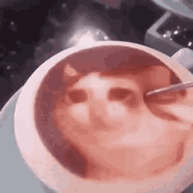 Cat Coffee GIF - Cat Coffee Crying Cat GIFs