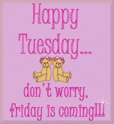 Happy Tuesday Friday Is Coming GIF - Happy Tuesday Friday Is Coming Teddy GIFs
