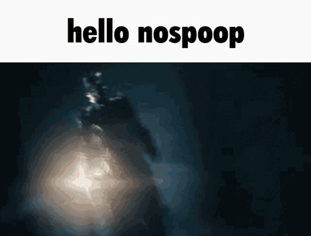 a dark background with the words hello nospoop written on it