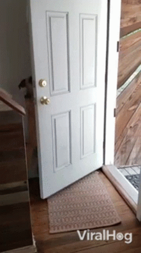 Closing The Door Viralhog GIF