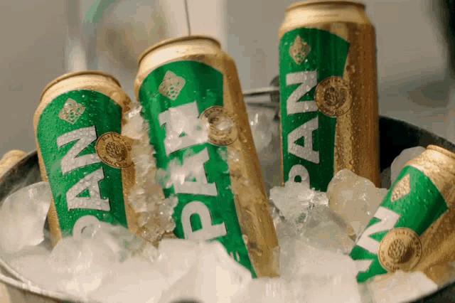 a bucket of ice with pan beer cans in it