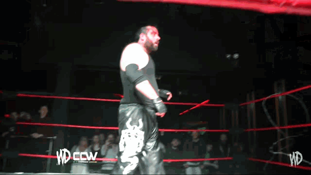 a wrestler in a ring with the word wd on it