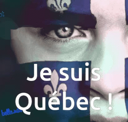 Mini Gif Québec Jesuis GIF - Mini Gif Québec Jesuis Quebec GIFs