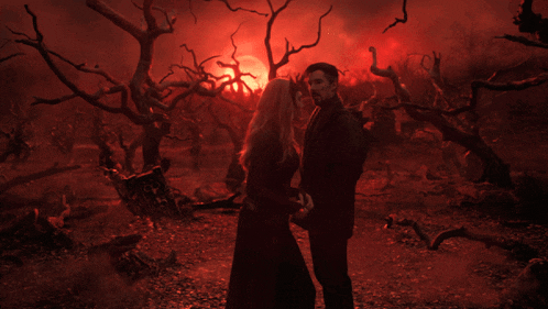 a man and a woman are standing in a dark forest with a red sky in the background