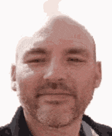 a man with a beard and a bald head is looking at the camera .