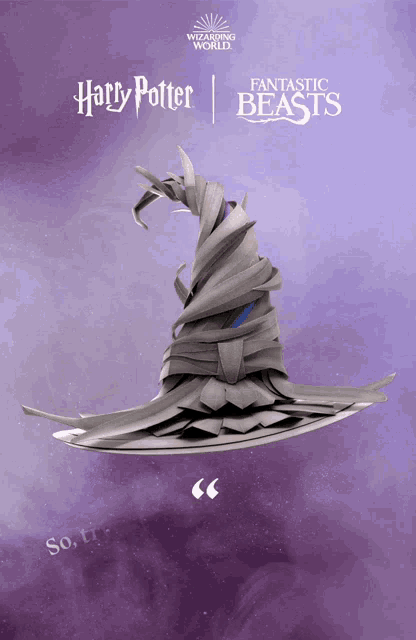 a poster for harry potter and fantastic beasts shows a witch hat