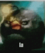 a blurry picture of an angry bird with a yellow beak and the word la on it .