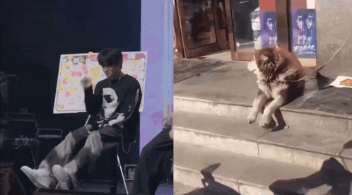 a man is sitting on a stage next to a dog on a leash