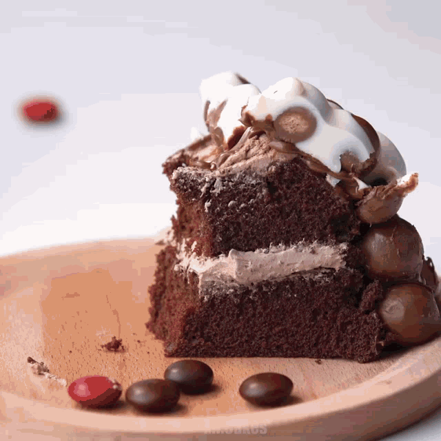 a slice of chocolate cake on a wooden plate