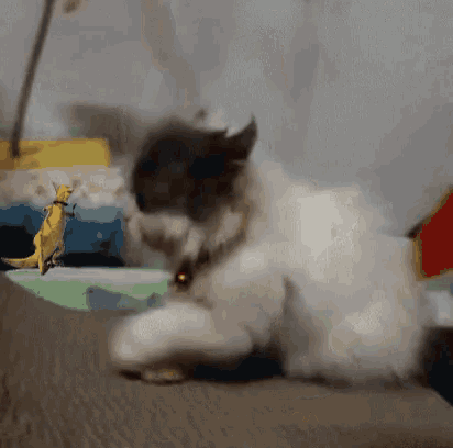 a cat is playing with a toy that looks like a kangaroo on a stick