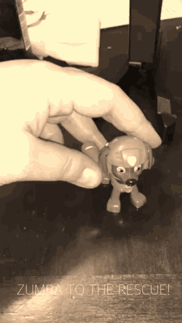 a black and white photo of a person holding a toy dog with the words zumba to the rescue written below it