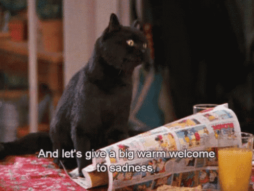 Cat Sadness GIF