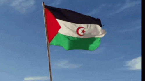 العلمالصحراوي Wesstern Sahara GIF - العلمالصحراوي Wesstern Sahara Flag GIFs