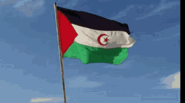 a red white and green flag with a star on it