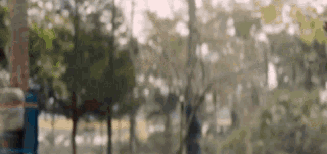 a blurry picture of a person walking in a park .