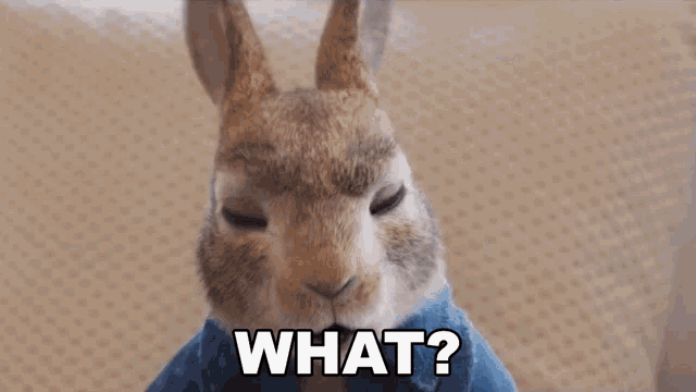 a rabbit is wearing a blue jacket and says what .