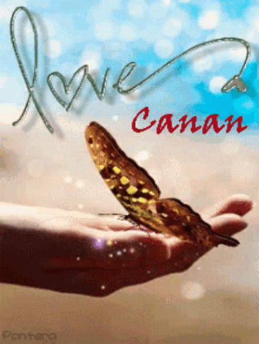 Canan1978 Love GIF - Canan1978 Love Butterfly GIFs