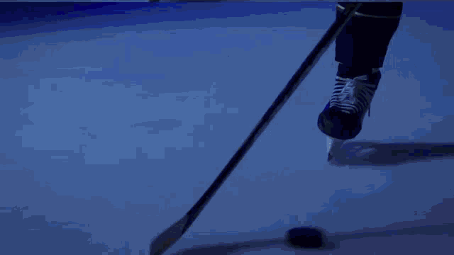 a hockey player 's number 96 is displayed on a blue background