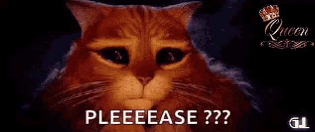 a cartoon cat with a crown on its head says pleeease