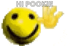 a pixel art of a yellow smiley face with the words `` hi pookie '' written on it .