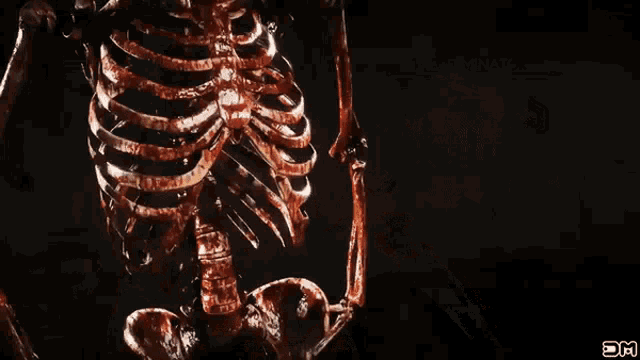 Skeleton Smoking GIF - Skeleton Smoking Terminator GIFs