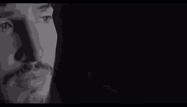 Synews GIF