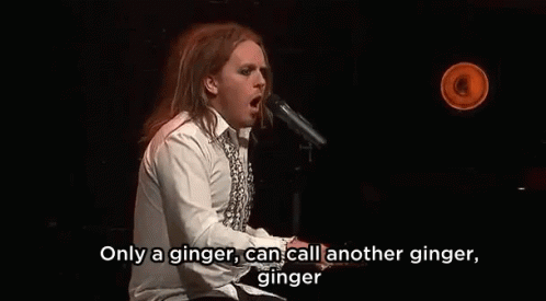 Only A Ginger, Can Call Another Ginger, Ginger GIF - Ginger Onlyaginger GIFs
