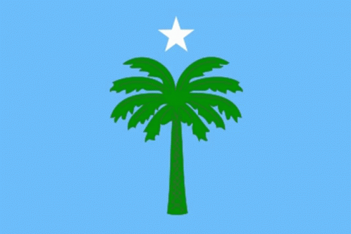 Tripoli Tripoli Flag GIF - Tripoli Tripoli Flag GIFs