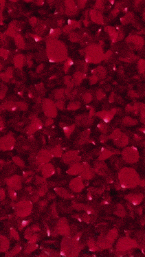 a woman is surrounded by red rose petals