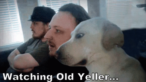 Watching Old Yeller With My Dog GIF - Dog What Old Yeller GIFs