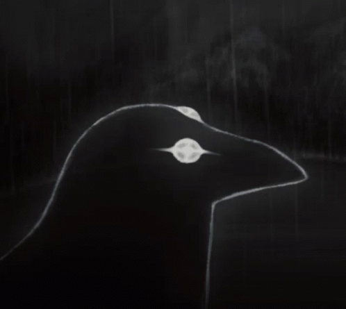 Crow GIF - Crow GIFs