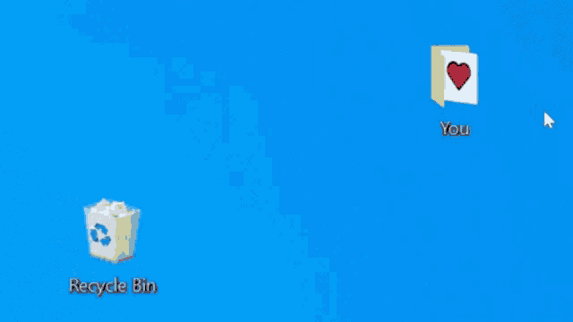 a computer screen shows a recycle bin and a folder called you