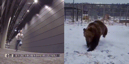 a man is running in a tunnel next to a bear in the snow .