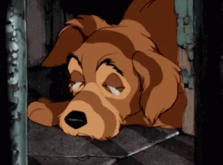 Sadness And Heartbreak Dog GIF - Sadness And Heartbreak Dog Crying GIFs