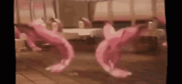 a couple of pink flamingos dancing in a room .