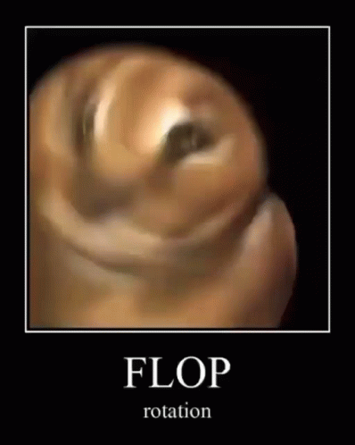Flop GIF - Flop GIFs
