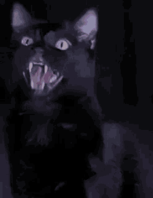 a black cat with its mouth wide open and purple eyes
