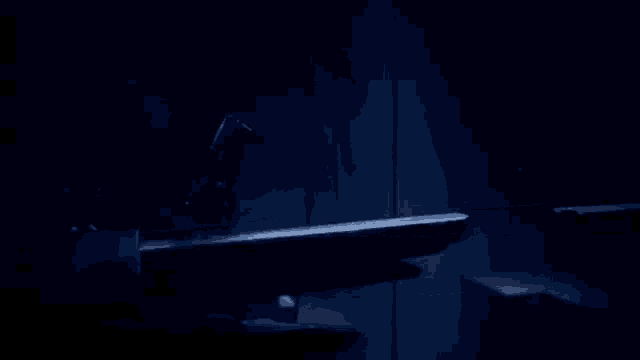 a person is standing on a platform in a dark room .