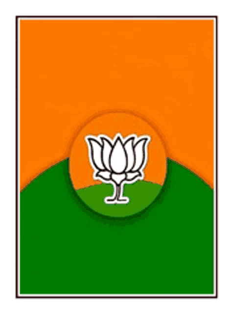 a picture of a bjp flag with a lotus flower in the middle .