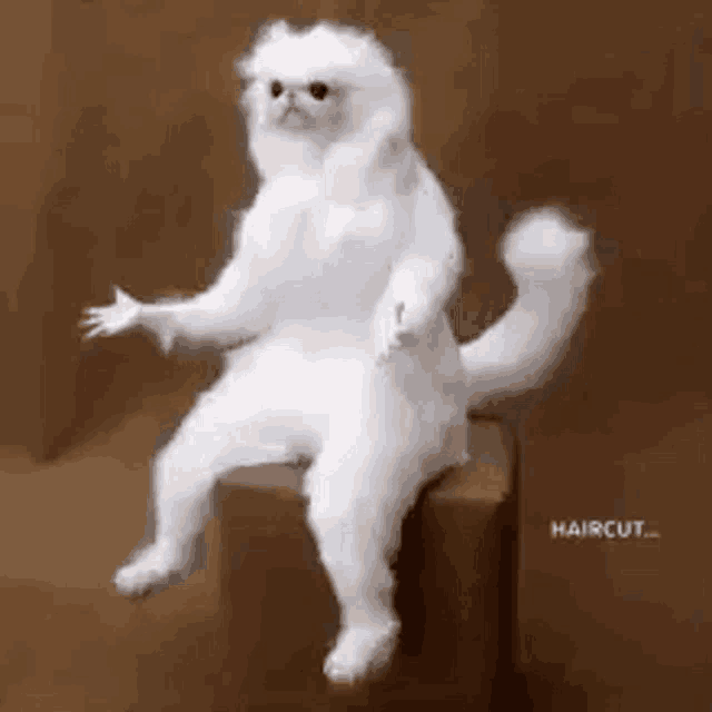 Confused What GIF