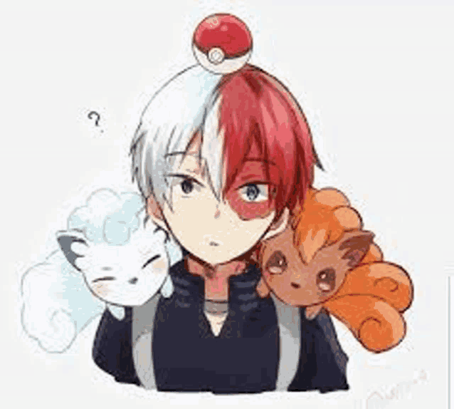 a boy with a pokeball on top of his head is holding a cat and a pokemon .