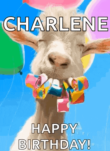 a goat is wearing balloons and party horns and says happy birthday .
