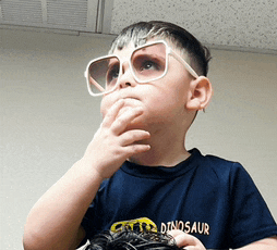 a young boy wearing sunglasses and a dinosaur shirt