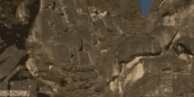 a shark is swimming in the water near a rocky shore .