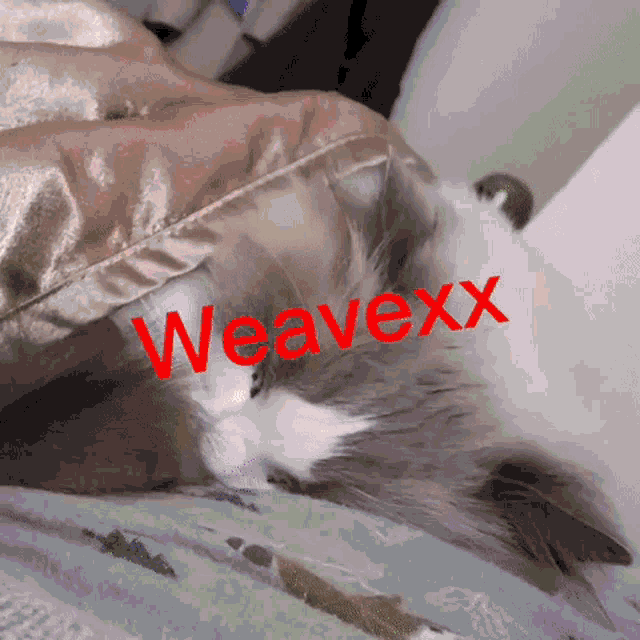 Weave Weavex GIF - Weave Weavex Weavexx GIFs